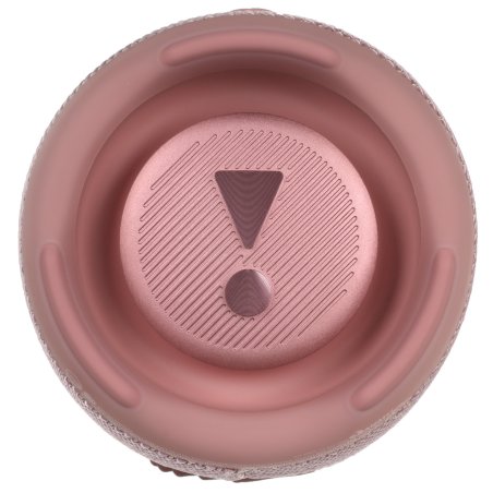 Портативная акустика JBL Charge 5, розовый