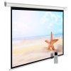 Экран Cactus 138x220см SIlverMotoExpert CS-PSSME-220X138-DG 16:10 настенно-потолочный рулонный темно-серый (моторизованный привод)