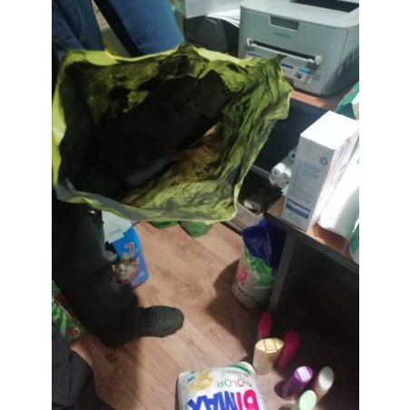 Картридж лазерный Cactus CS-D105L черный (2500 стр.) для Samsung ML-1910/1915/2525/2580/SCX-4600/4623/SF-650/650P