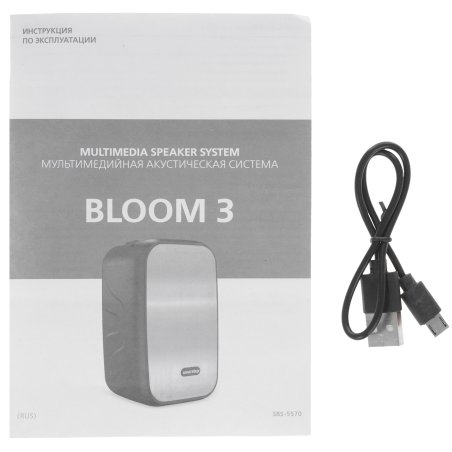 Портативная акустика Smartbuy (SBS-5520) черный