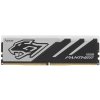 Оперативная память Apacer Panther RGB, DDR5, 16GB (1x16GB), 6000 MHz, CL40, с радиатором, черно-серый, RGB