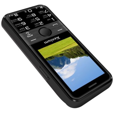 Мобильный телефон Xenium X800 черный моноблок 2Sim 2.8" 240x320 Spreadtrum ThreadX RTOS 0.3Mpix GSM900/1800 MP3 FM microSD max32Gb