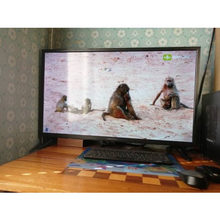 Телевизор Vekta 24" LD-24TR4350BT черный LED HD 60Hz