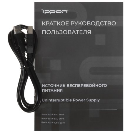 Источник бесперебойного питания Ippon Back Basic 1050 Euro 600Вт 1050ВА черный