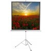 Экран 172x172см Digis Kontur-D DSKD-1104 1:1 напольный рулонный