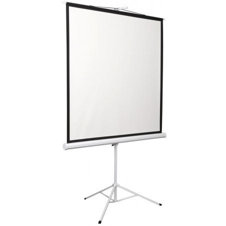 Экран 180x180см Digis Kontur-D DSKD-1105 1:1 напольный рулонный