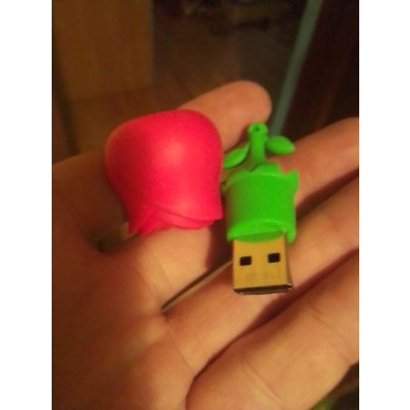 Флешка USB 2.0 Flash Drive 32Gb Smartbuy Wild series Роза (SB32GbRose)