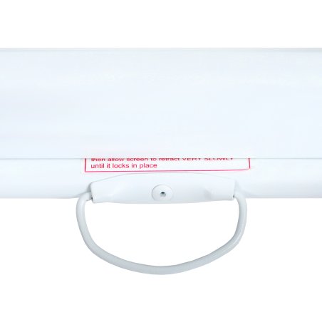 Экран Lumien 300x203см Master Picture LMP-100118 16:9 настенно-потолочный рулонный