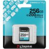 Флеш карта SDXC 256Gb Kingston SDG4/256Gb Canvas Go! Plus V30