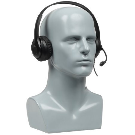 Наушники с микрофоном A4Tech Fstyler FH100 черный 2м