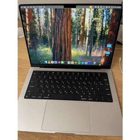 Ноутбук Apple MacBook Air 15 A3114 серебристый (M3/16Gb/512Gb SSD/MacOS) (Z1GE0001R) нужен переходник на EU