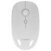 Мышь беспроводная Gembird MUSW-221-Y белый/желтый, 1600 dpi, радиоканал, USB, кнопки - 6