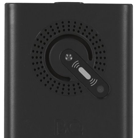 Мобильный телефон BQ 2458 Barrel L черный/золотистый