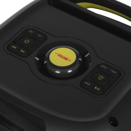 Портативная акустика Defender Boomer 45