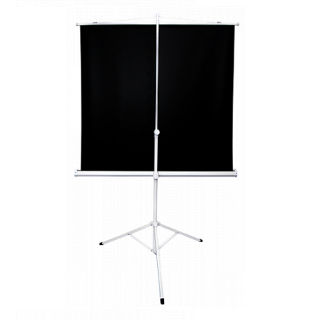 Экран Sakura 180x180см TriScreen 1:1 напольный рулонный белый100' Matt White (MW), серый корпус