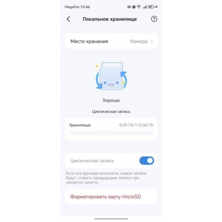 Флеш карта Samsung EVO Plus microSDXC 128 Gb MB-MC128SA/APC
