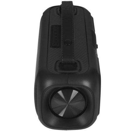 Портативная аудиосистема Telefunken TF-PS1281B (черный)