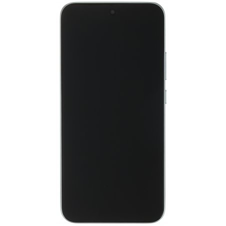 Смартфон OPPO A6 Pro CPH2799 8/256 титан