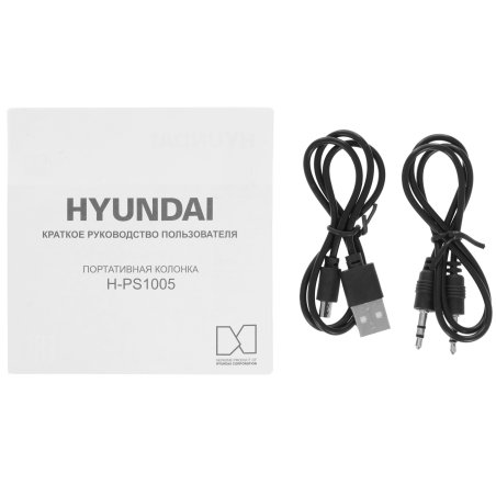 Портативная колонка Hyundai H-PS1005 черный 20 Вт 1.0 BT 10м 1800mAh