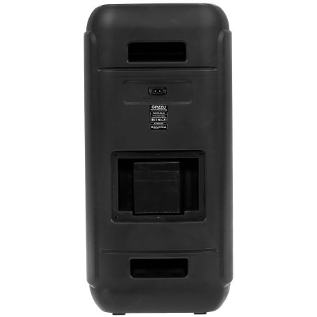 Акустическая система Ginzzu GM-202 Midi, RGb/BT/USB/SD/FM/ДУ