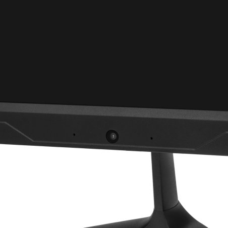 Моноблок IRU P231 23.8" Full HD Cel N4020 (1.1) 8Gb SSD 256Gb noOS GbitEth WiFi BT 120W Cam черный 1920x1080