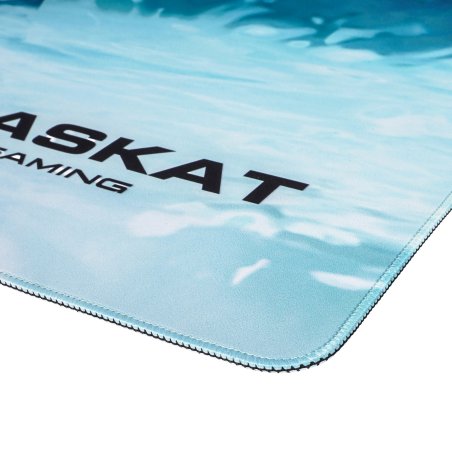 Коврик для мышки Raskat Paladin IP - XL (1200x600x3мм, резина/ткань, прошитый край)