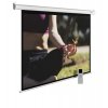 Экран Cactus 197x200см MotoExpert CS-PSME-200x200-WT 1:1 настенно-потолочный рулонный белый (моторизованный привод)