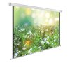 Экран Cactus 200x200см WallExpert CS-PSWE-200x200-WT 1:1 настенно-потолочный рулонный