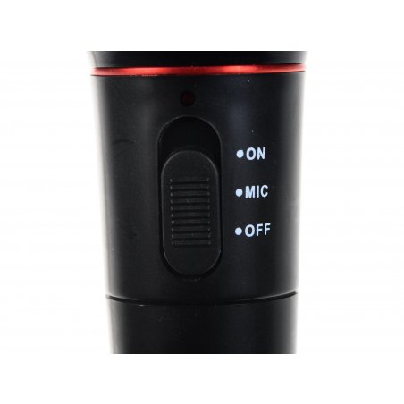 Микрофон Ritmix RWM-100 черный