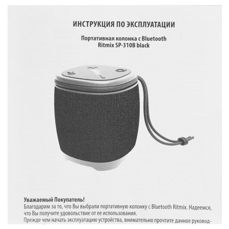 Портативная колонка RITMIX SP-910B черный