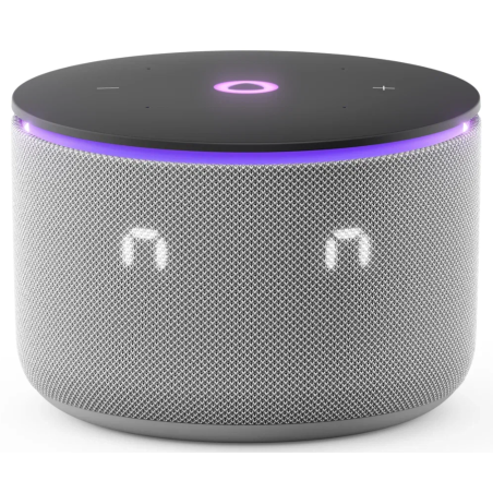 Умная колонка Яндекс Станция Мини 3 Про с Алисой, Zigbee, серый, YNDX-00059GRY