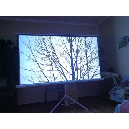 Экран 150x150см TriScreen 1:1 напольный рулонный белый84' Matt White (MW), черный корпус