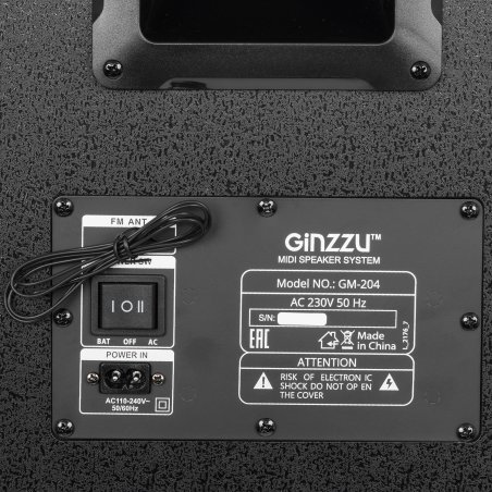 Акустическая система Ginzzu GM-204 Midi BT/USB/TF/FM/MIC/ДУ черный