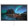 Экран настенный Digis DSOD-16906MW, формат 16:9, 120" (273x159), MW, Optimal-D