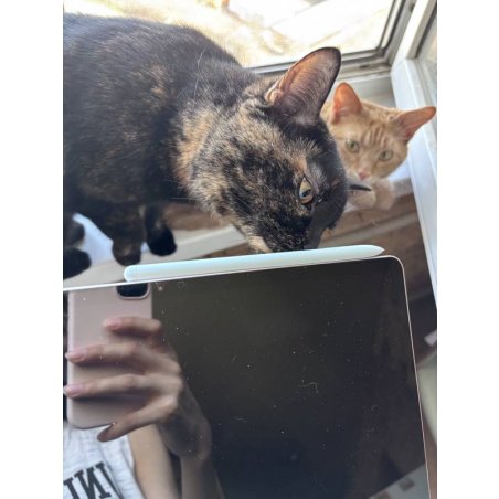 Стилус Samsung S Pen Galaxy Tab для Samsung Galaxy Tab S10 Lite белый (EJ-PP610BWEGRU)