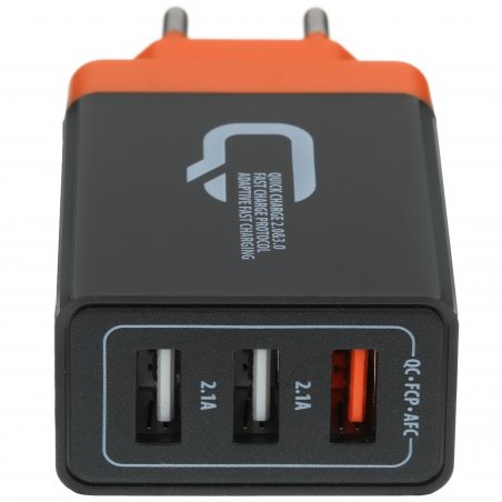 Сетевое зарядное устройство Qumo Energy (Charger 0061), 2 USB, 3.1A, черный