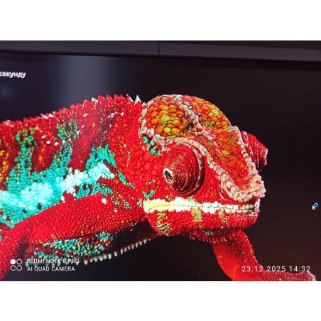 Монитор 27" LG UltraGear 27GS75Q-B IPS 2560x1440, 180 Гц, 1 мс, 16:9, 300 кд/м², DP, HDMI, 3.5 Jack, HDR10, FreeSync Premium Pro, G-Sync Compatible, черный