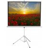 Экран 180x240см Digis Kontur-D DSKD-4304 4:3 напольный рулонный