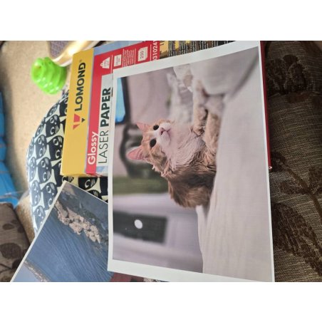 Бумага Lomond 0310241 A4/170г/м2/250л./белый глянцевое/глянцевое для лазерной печати