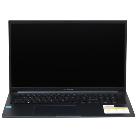 Ноутбук Asus Vivobook 17 X1704VA-AU661 синий 90NB10V2-M00SJ0 U-series U300 8Gb SSD 512Gb Intel UHD Graphics 17.3" IPS FHD (1920x1080) без ОС WiFi BT Cam