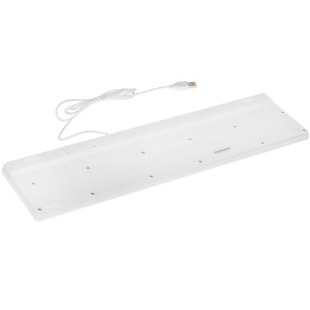 Клавиатура проводная Genius SlimStar 126 wired keyboard белый color (12 Multimedia Function Keys and 4 dedicated Hotkeys for Quick Coммands, Ultra-Slim Keycaps)