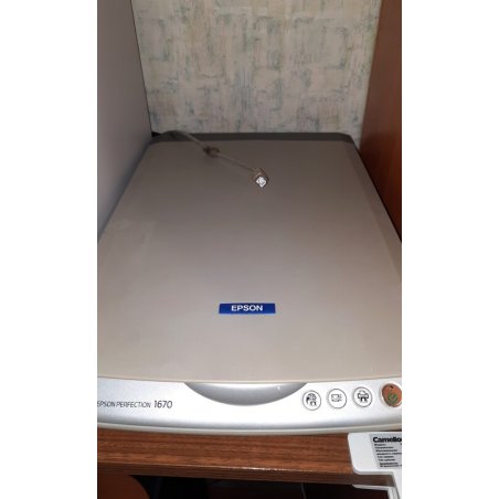 Кабель Cablexpert USB2.0 Pro, AM/BM, 0,75м, экран, 2 феррит.кольца, прозрачный (CCF-USB2-AMBM-TR-0.75M)