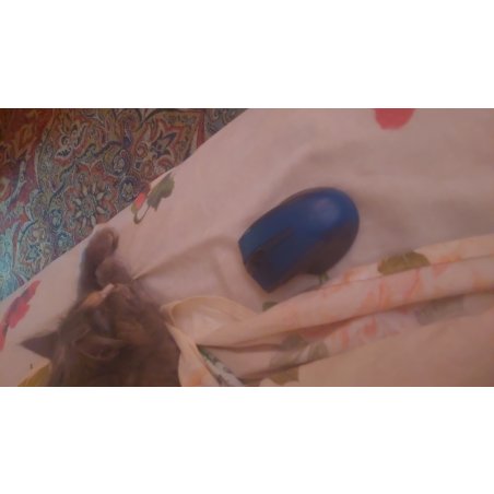 Мышь беспроводная Defender Accura MM-665 черный, 1600 dpi, радиоканал, USB, кнопки - 6