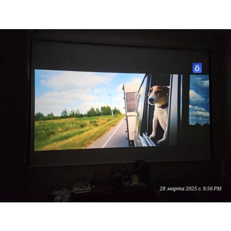 Экран Cactus 240x240см WallExpert CS-PSWE-240x240-WT 1:1 настенно-потолочный рулонный