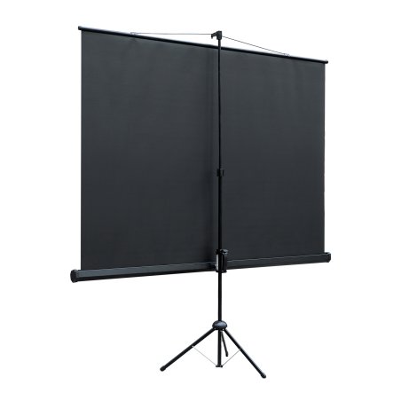 Экран на штативе Lumien Eco View 128x171см (раб.область122х165 см) Matte White с возможностью настенного крепления 4:3