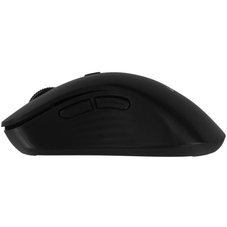 Мышь беспроводная Genius Ergo 8100S черный, 1600 dpi, радиоканал, USB, кнопки - 6