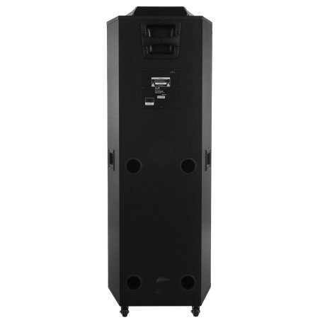 Колонка Eltronic 15" динамик 2шт/15" с TWS черный