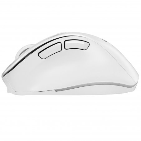 Мышь Беспроводная Genius Ergo 8230S Black,New