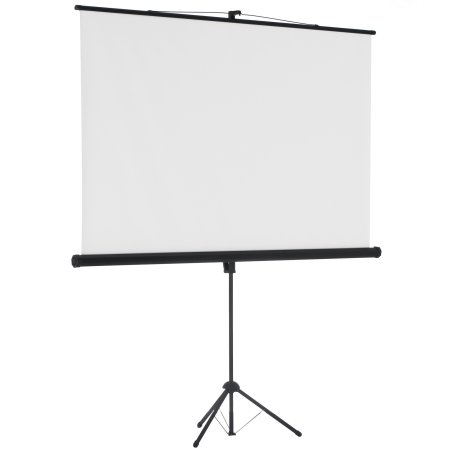 Экран Cactus 180x180см TriExpert CS-PSTE-180x180-BK 1:1 напольный рулонный