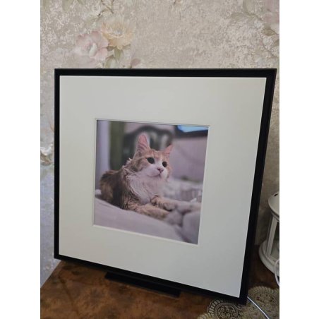 Бумага Lomond 0310241 A4/170г/м2/250л./белый глянцевое/глянцевое для лазерной печати